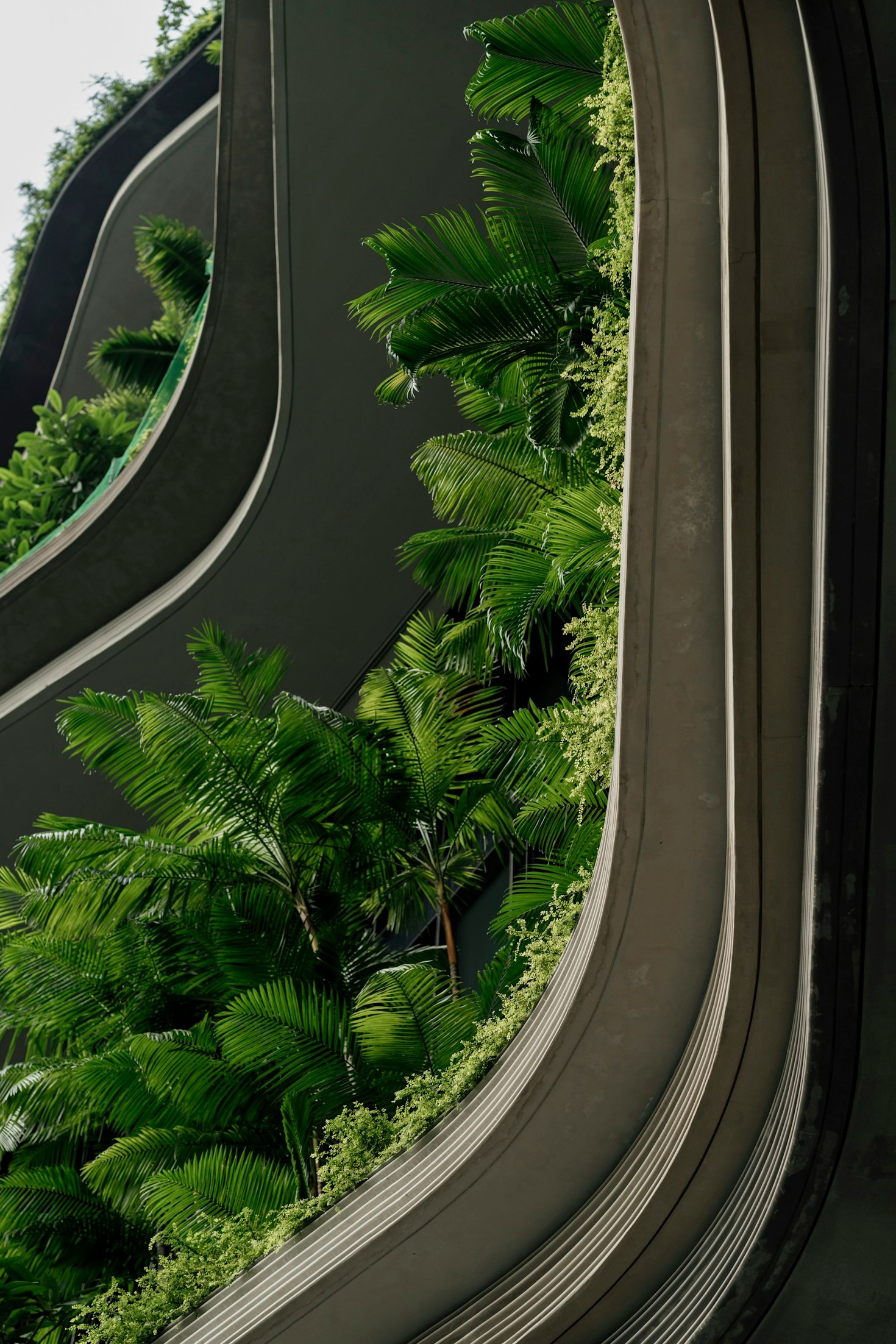 Dicas de design para interiores saudáveis e funcionais